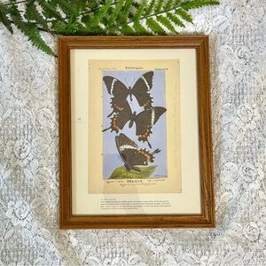 Vintage Solid Wood Framed Butterfly Decor 9x12
